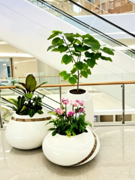 奉化花卉租摆优惠五大方法，简单有效